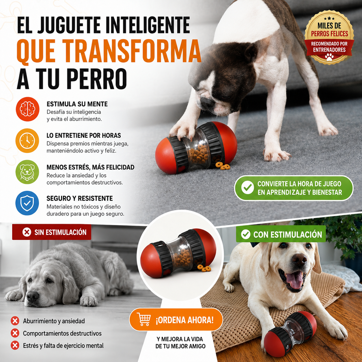 Juguete dispensador de premios para perros