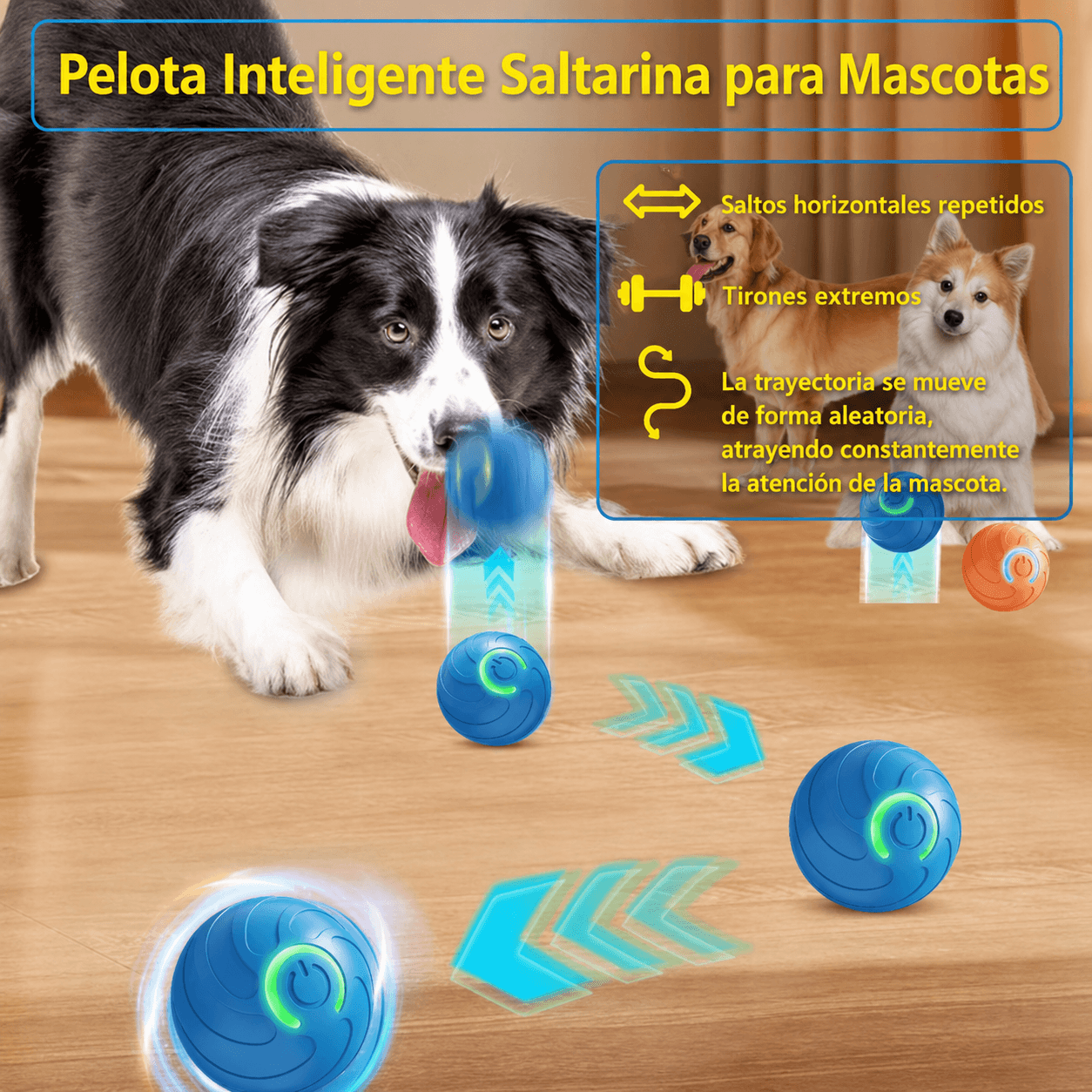 Pelota interactiva automática mascotas: perro jugando con una pelota inteligente que salta y atrae su atención.